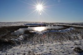 We specialise in guided walks and navigation courses